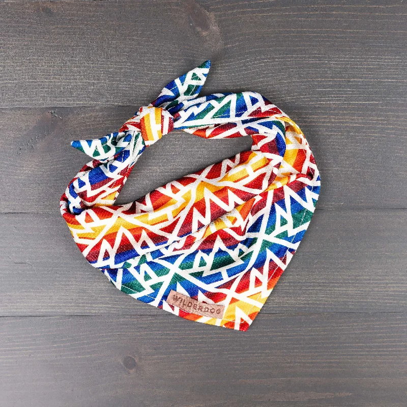 Rainbow Bandana